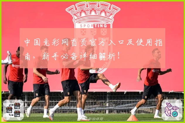 中国竞彩网首页官方入口及使用指南,新手必备详细解析!